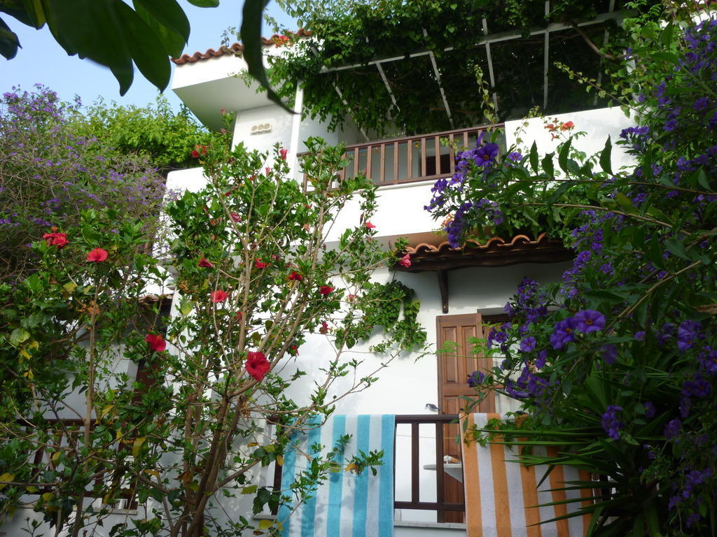 Golden Sun Hotel Kokkari Quarto foto